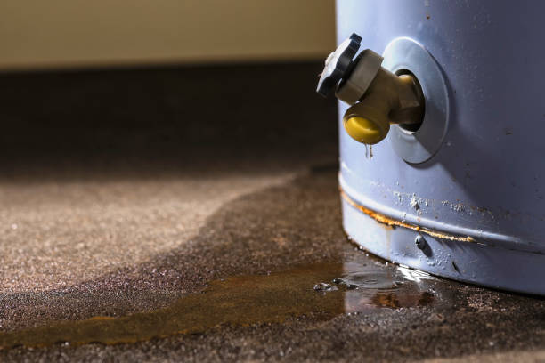 Best Flood damage cleanup  in Wailua, HI
