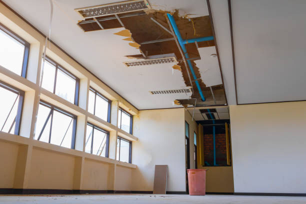 Best Water damage restoration near me  in Wailua, HI