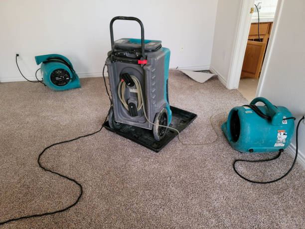 Best Commercial water damage restoration  in Wailua, HI
