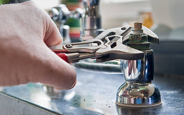 Best Professional water damage repair  in Wailua, HI