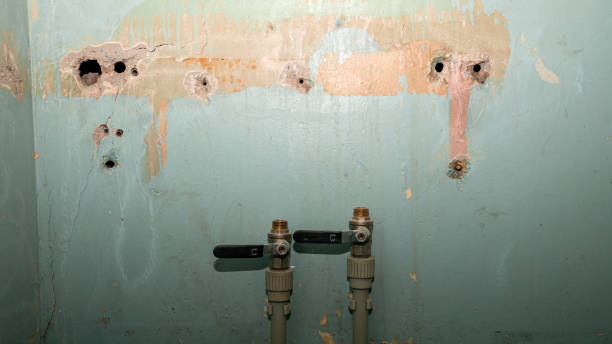 Best Mold removal after water damage  in Wailua, HI