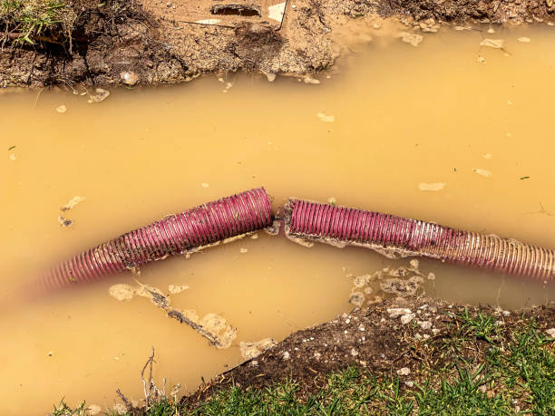 Professional Water damage restoration in Wailua, HI