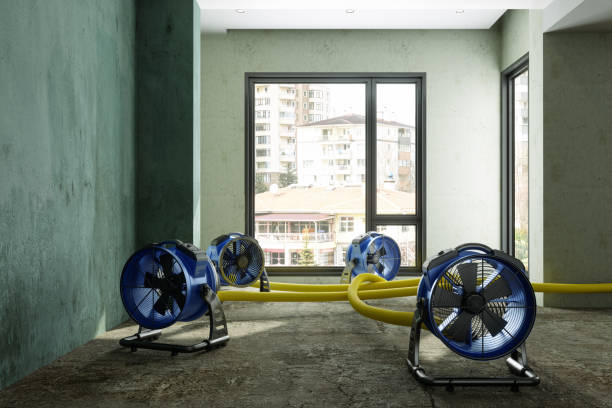 Best Water damage restoration cost  in Wailua, HI