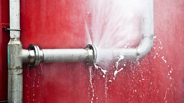 Best Water damage cleanup near me  in Wailua, HI